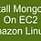 Install MongoDB on EC2( Amazon Linux 2)